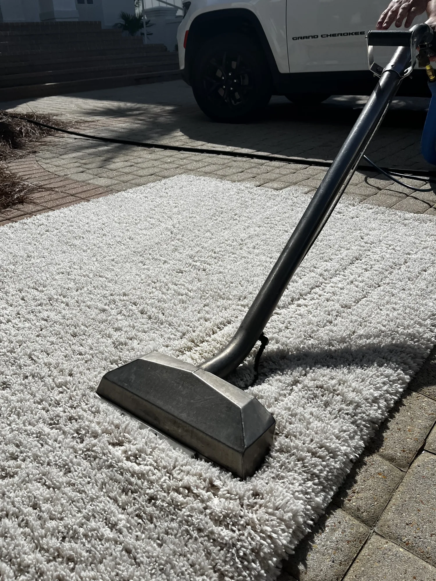 Close view of professional area-rug cleaning.