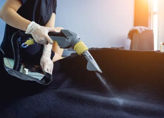 Professional Carpet Cleaning