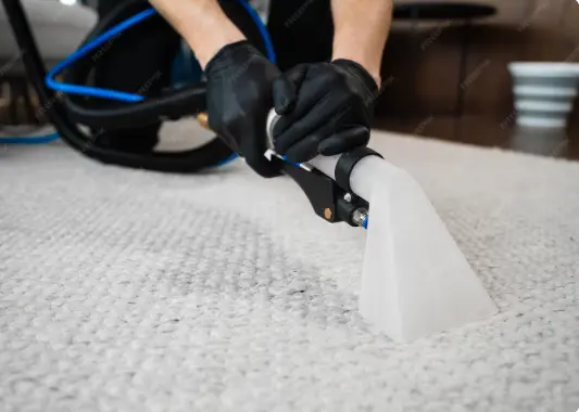 Carpet Cleaning Services