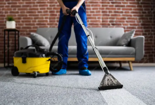 Carpet Cleaning Process