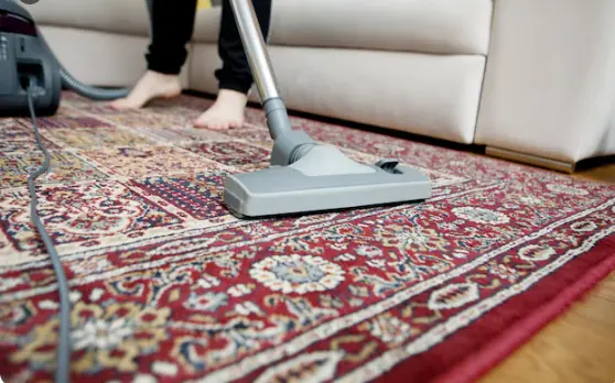 Carpet Steam Cleaning